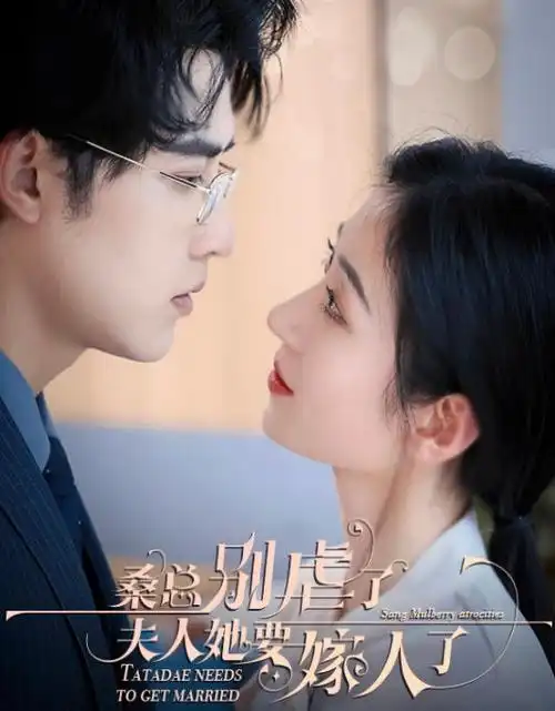 热播电视剧旧钟楼谜案全集在线观看